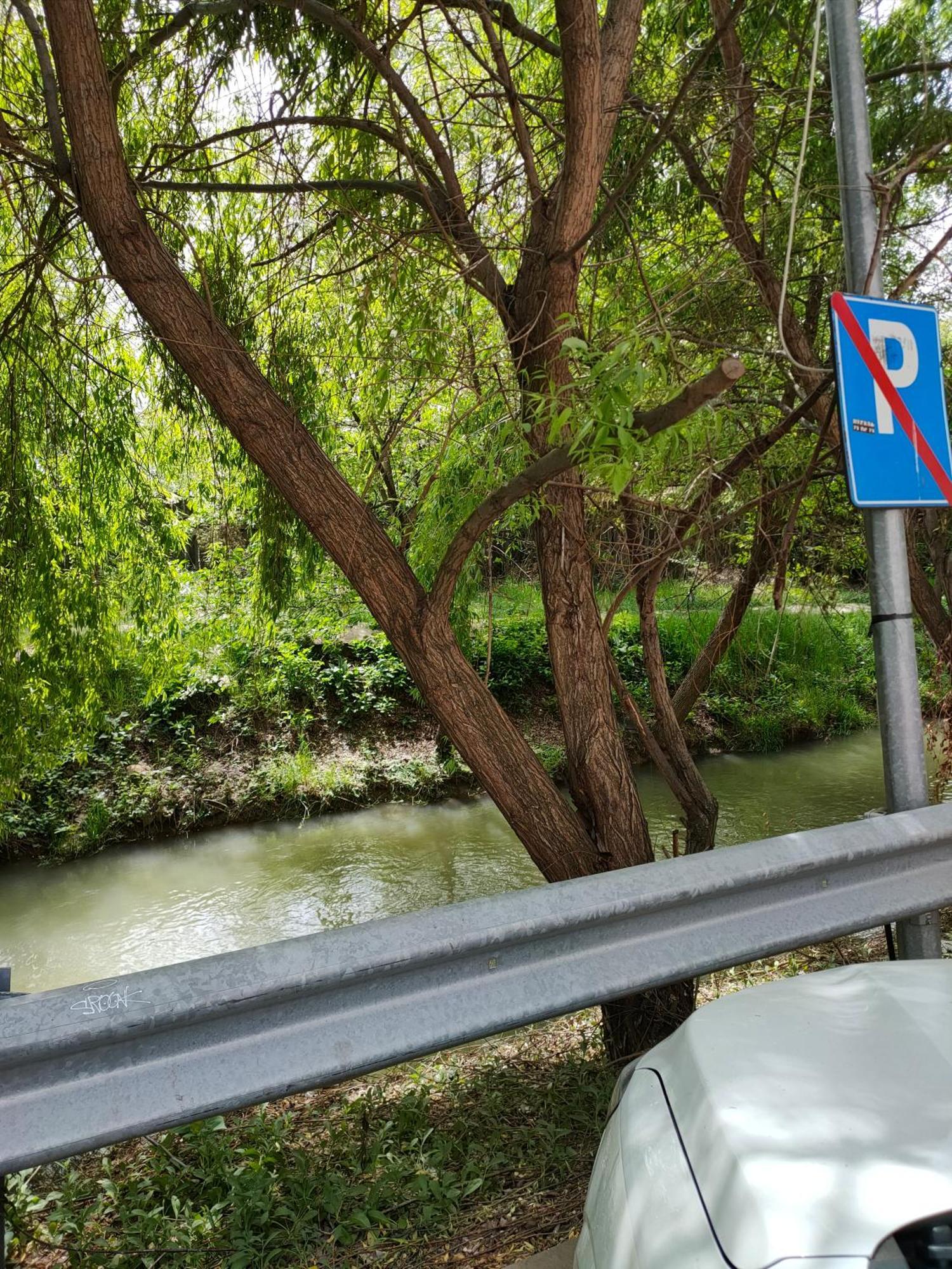 Cozy Apartment Bucharest Roşu Εξωτερικό φωτογραφία